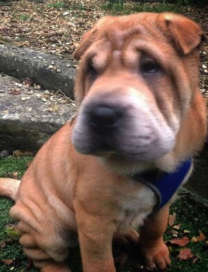 {"DeviceAngle":0.05997089} {"deviceangle":0.05997089}